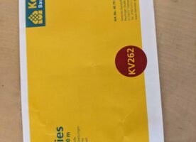 Kemmler KV262 165 Vlies für Flüssigkunstoffabdichtung