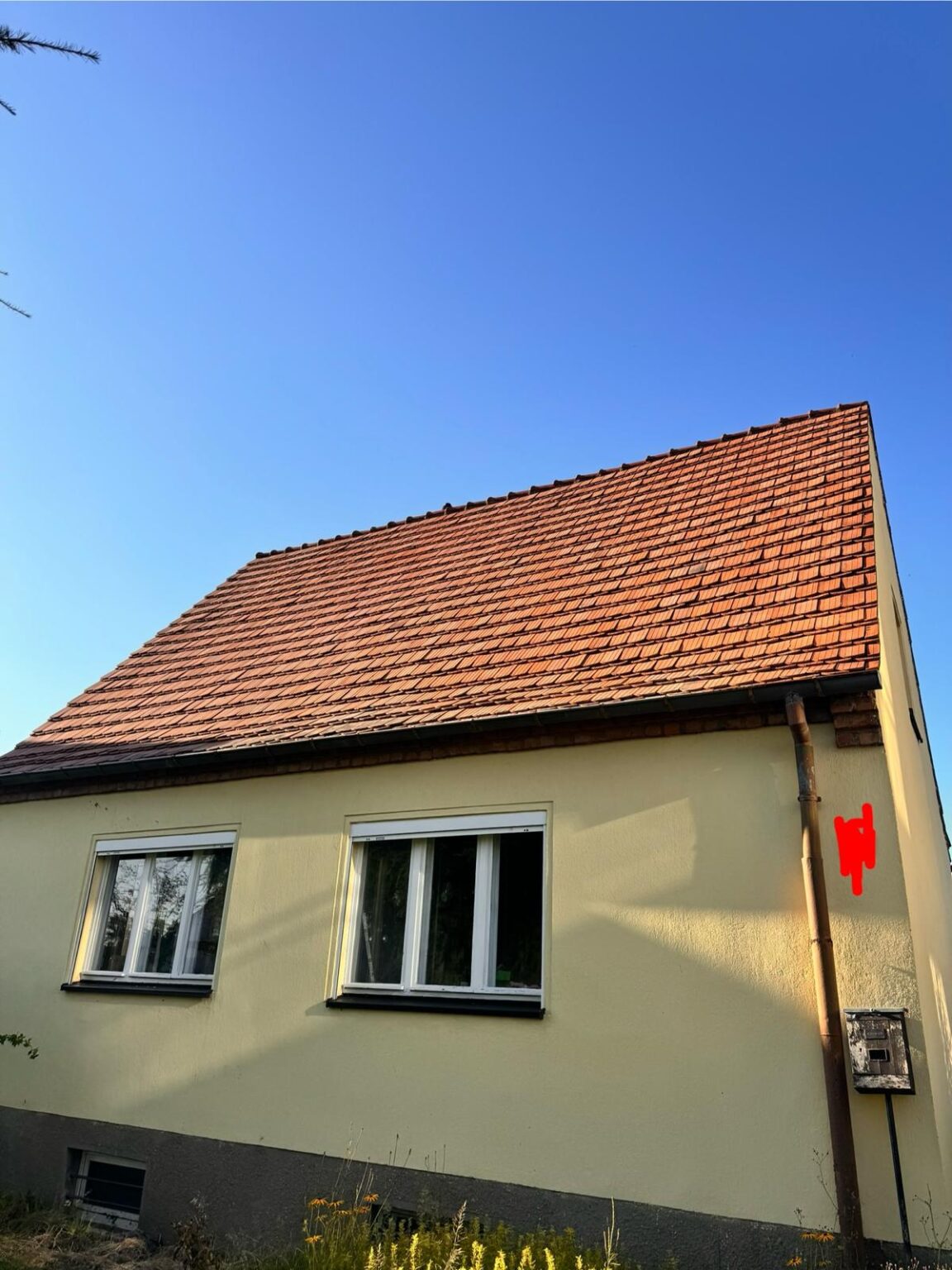 Bieberschwanz Ziegel
