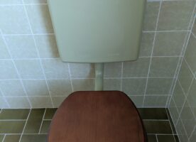 Stand-WC moosgrün 1974 Stand-WC moosgrün 1974