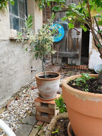 Pflanzenständer Blumentopf Untergestell Garten Konsole Beistelltisch Blumentreppe alte Ziegel Backstein Altziegel DIY