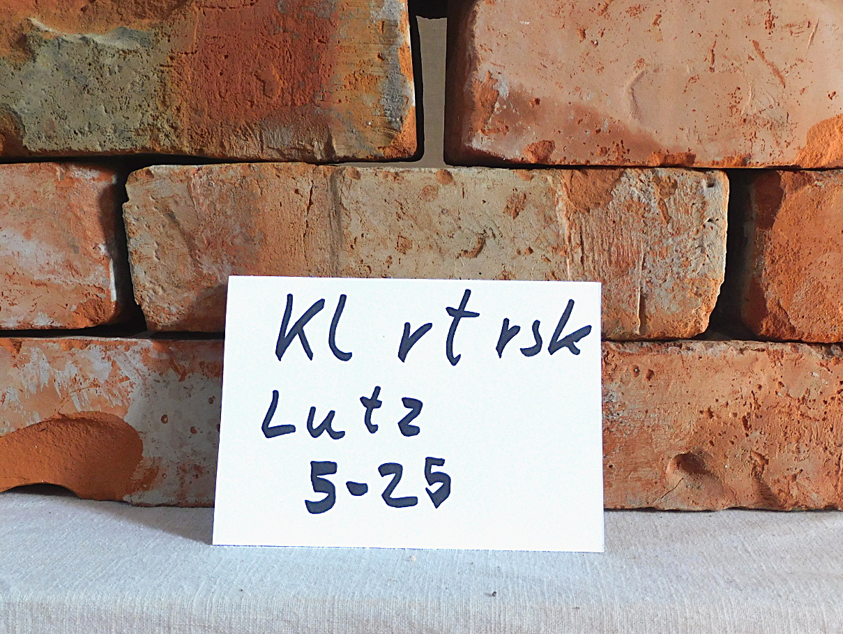 40 to LKW ab Baustelle original historische klassisch rote Ziegel steine Antik Klinker rustikal Backsteine Altziegel Rückbaustein Garten gestaltung Ruinen mauer Loft used look Landhaus