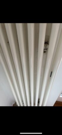 Zehnder Nova Heizkörper/Plattenheizkörper