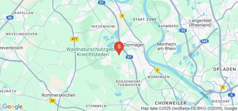 Pflasterstein