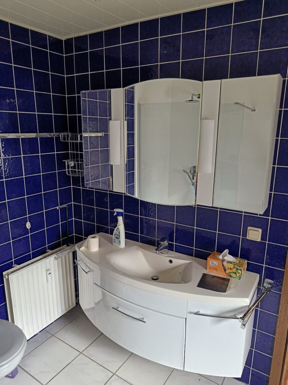 Hausabriss – diverse gebrauchte Haushalts- & Sanitärartikel: Armaturen, Boiler, Schränke u.v.m.