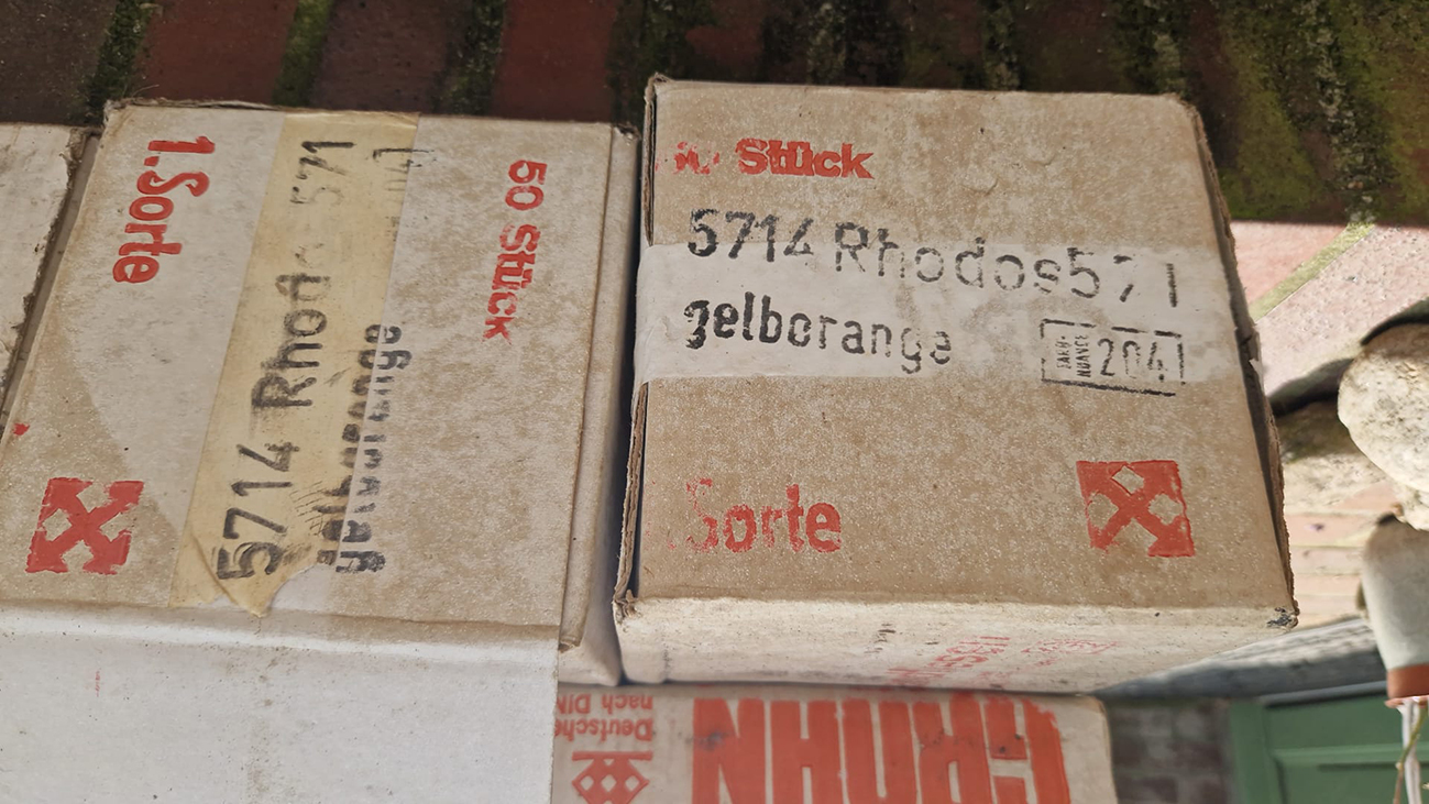 Grohn; Keramische Steingut-Wandfliesen (Rhodos gelb-orange), 15x15cm