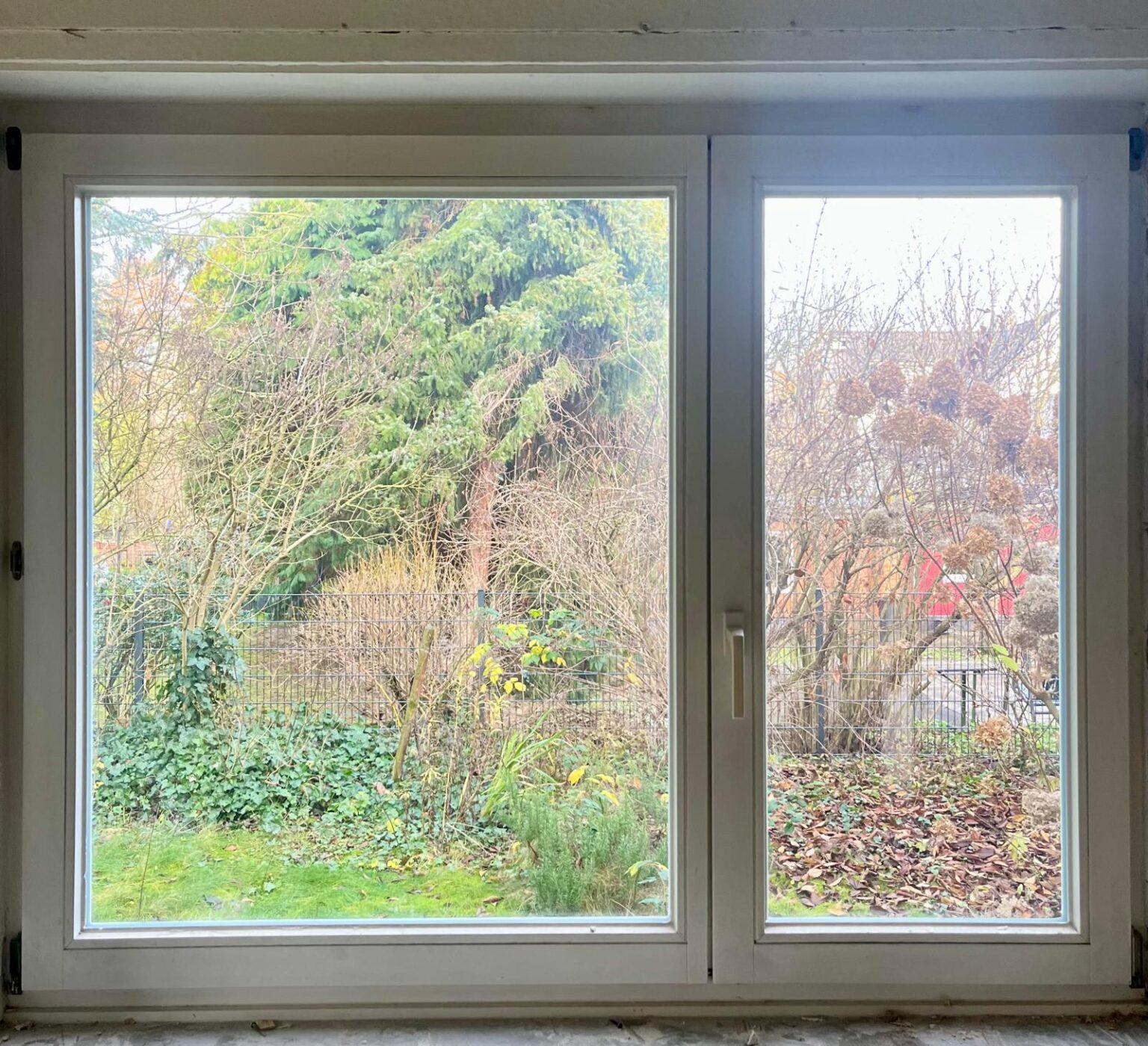 Fenster
