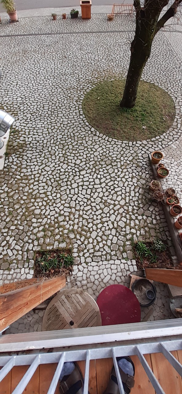 ARENA® Vegetationsfugensteine