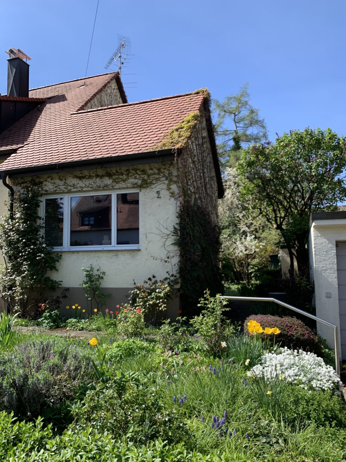 Dachziegel Biberschwanz