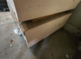 Sperrholzplatten Pappel