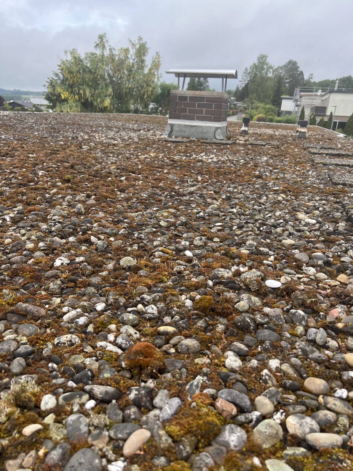Rheinkies