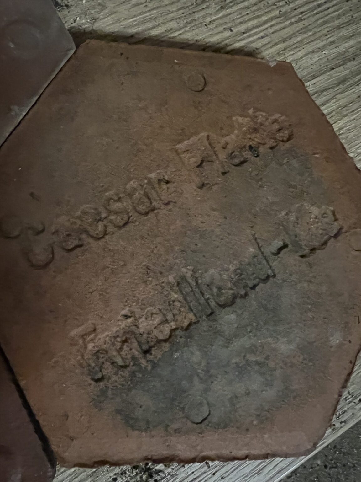 Caesar Platte Friedland Me