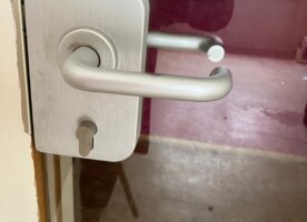 Dorma Glastür Höhe 1.90 m Breite 0.83 m Spezialglas