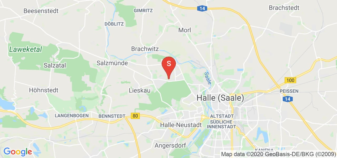 Antikriemchen handstrich Ziegelsteine Mauerziegel Feldbrand Art Backsteine Verblender Fliese
