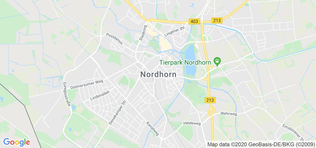 14241 Tür Teakholz Antik