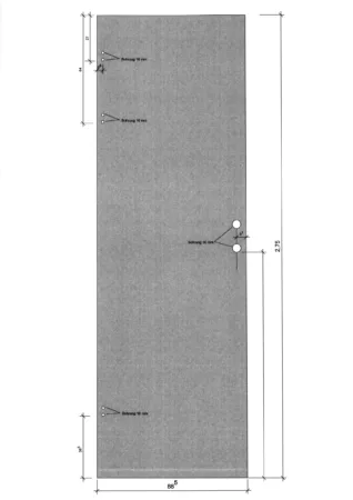 Ganzglastüre ESG 10 mm, mattiert und Bodendichtung, inkl. 2-teiliger Stahlzarge, DIN rechts