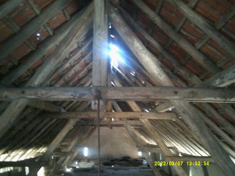Altholz