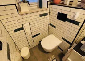 Wandfliese weiß glänzend 6x24cm