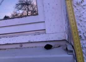 Flachglas AG3 Schallschutz/Lärmschutz Fenster