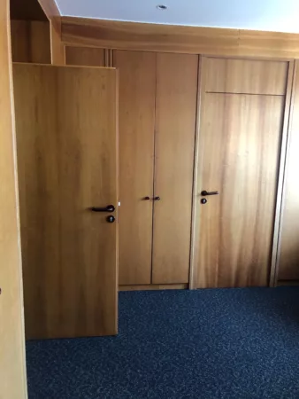 Holz