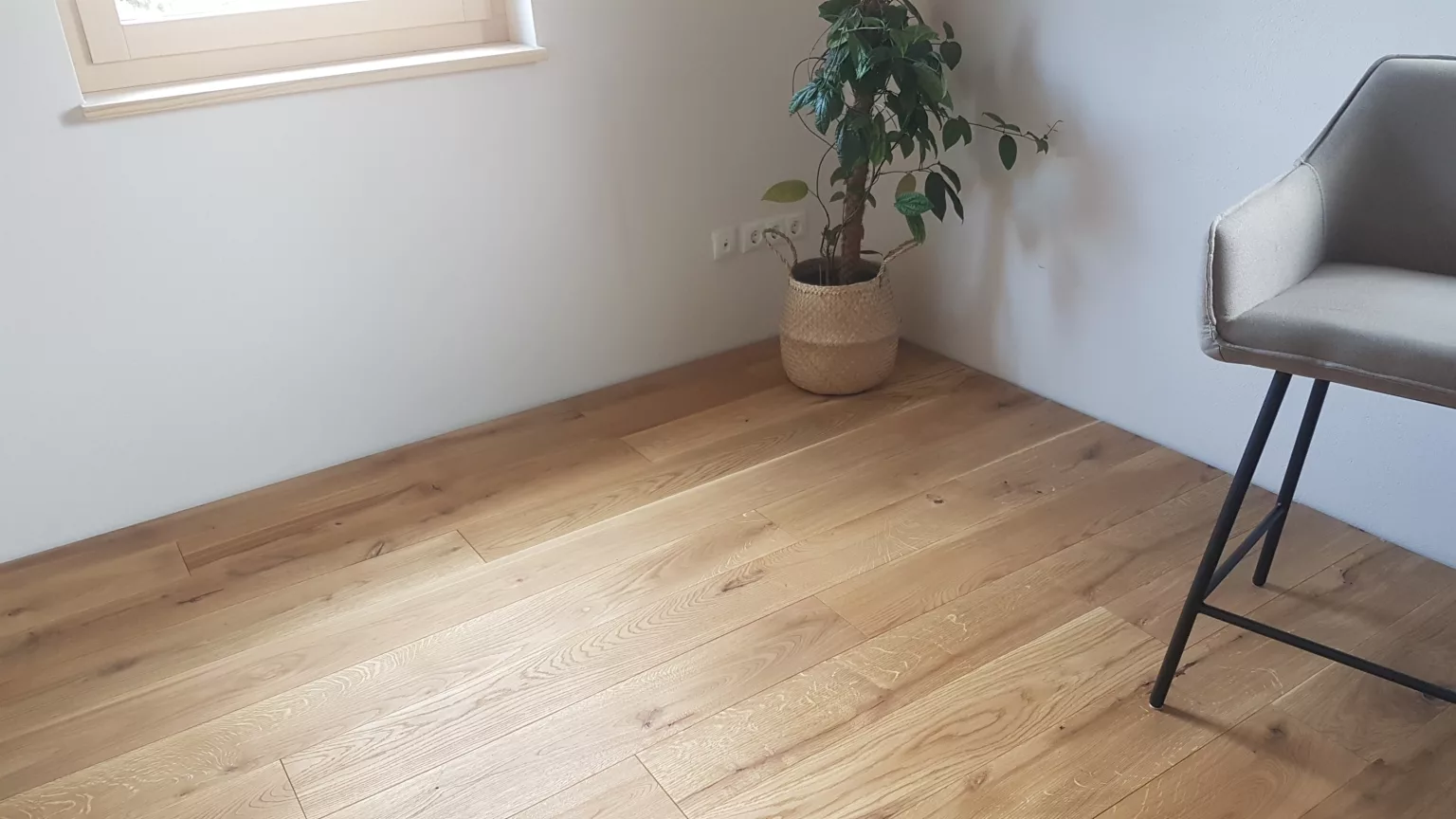 Massivholzdiele Eiche natur gebürstet Fa. Weiss