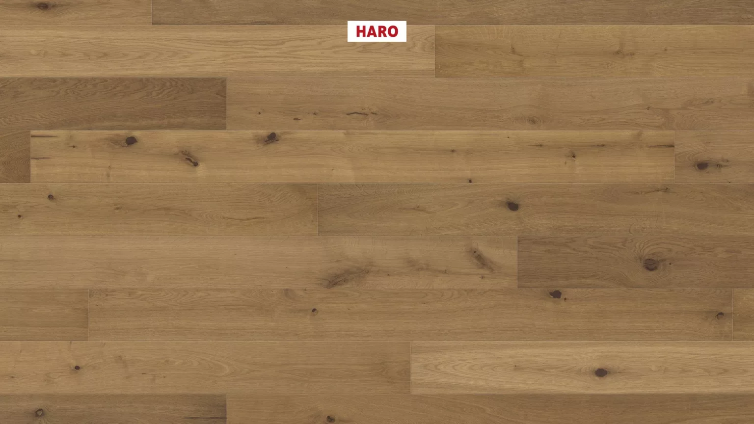 HARO Parkett Raucheiche Sauvage invisible Landhausdiele natur-geölt