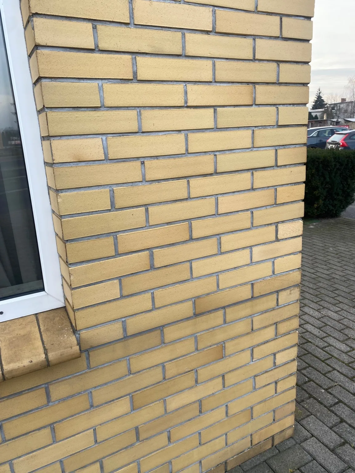 Ziegelriemchen Gelb