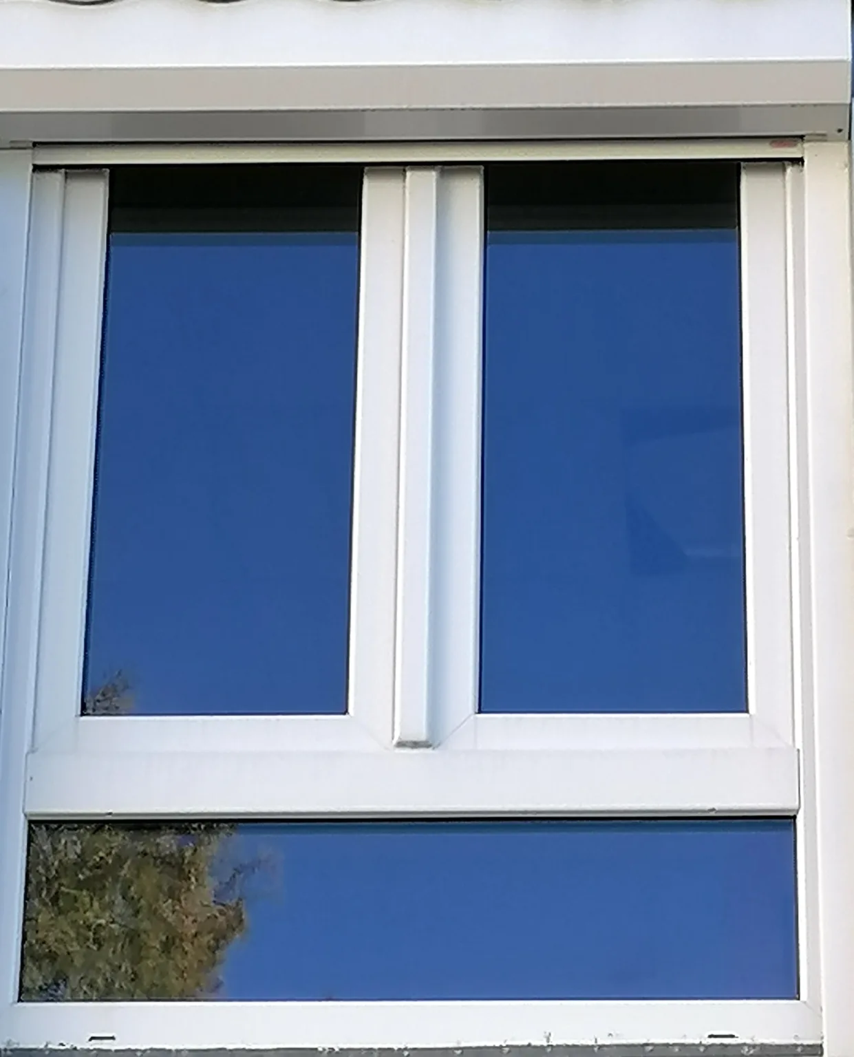 Fenster