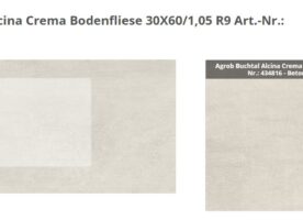 Agrob Buchtal Alcina Bodenfliese Wandfliese 30x60cm