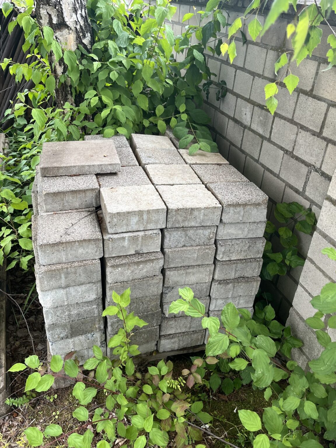 Pflasterstein