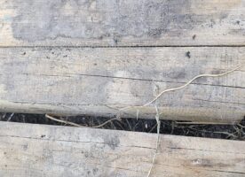 Holzbalken 7m lang