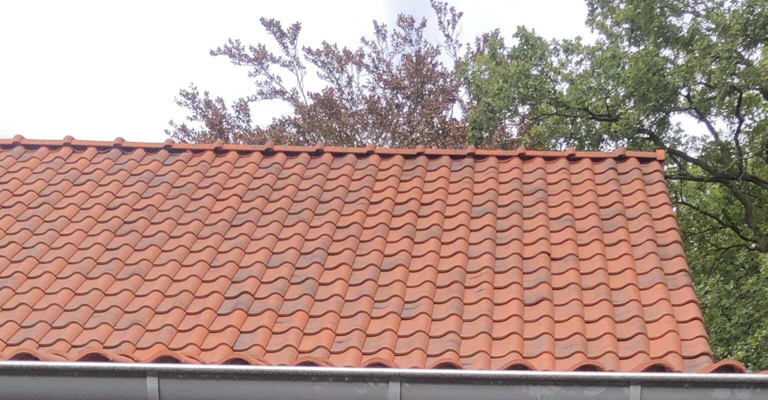 Edilians Huegenot, Panne S, Old Vintage Foncé