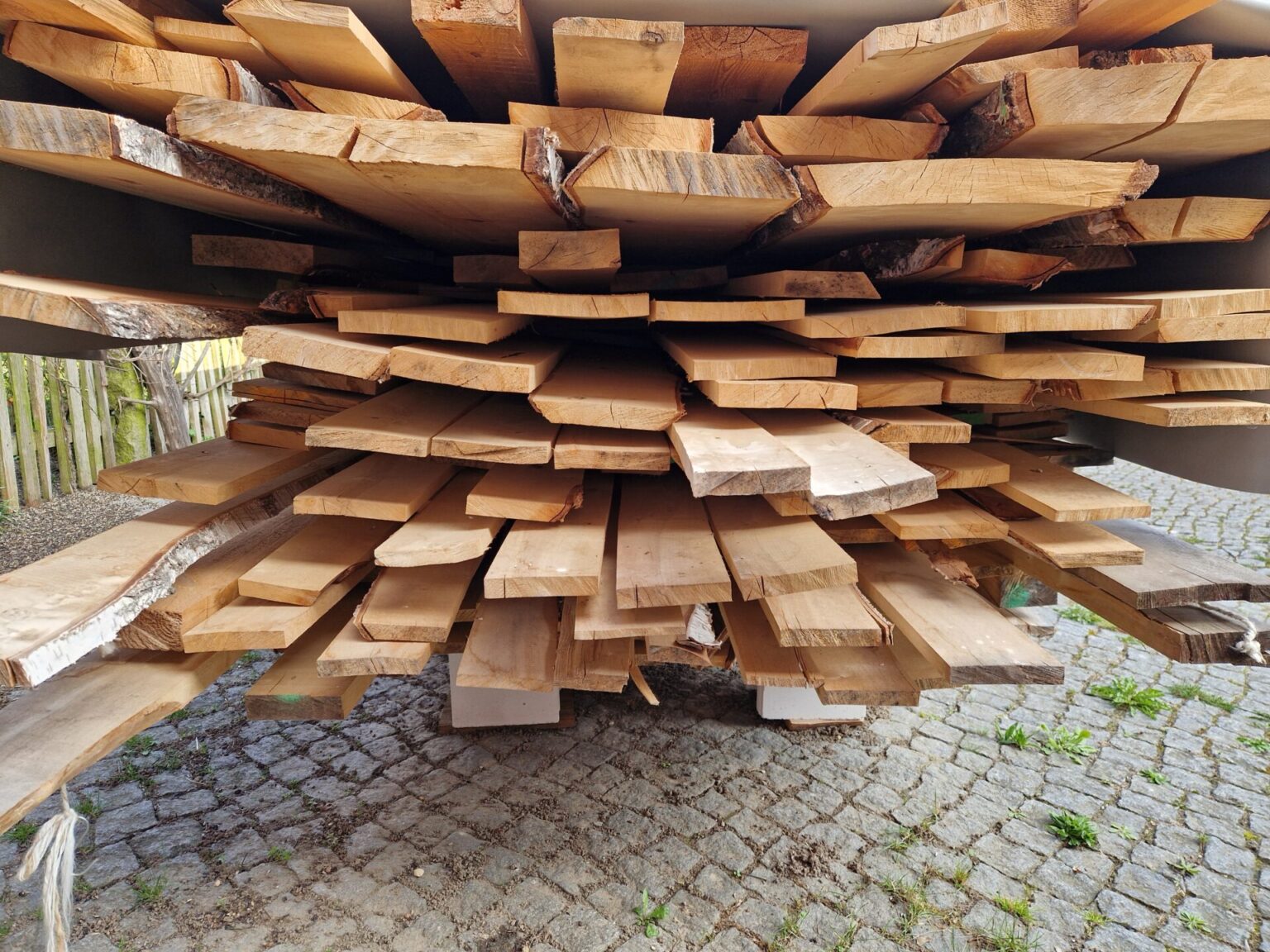 Lausitzer Birke