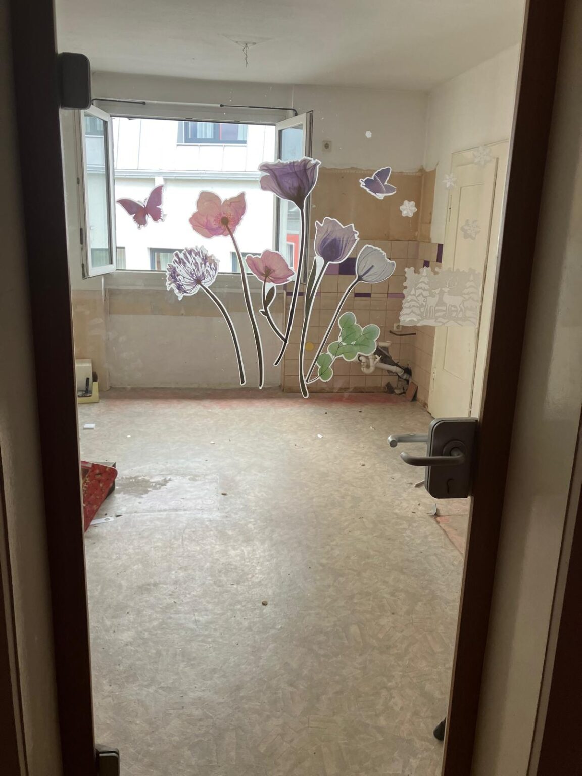 Dorma Glastür Höhe 1.90 m Breite 0.83 m Spezialglas