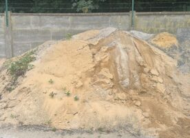 0-Reinsand