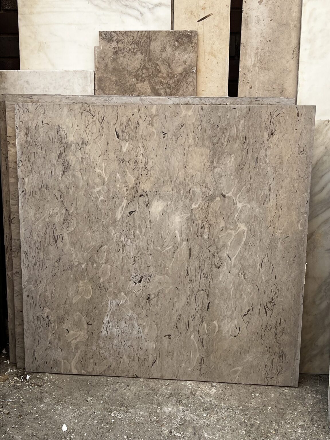 Fossilführender Kalkstein /Muschelkalk Platten in verschiedenen Größe
