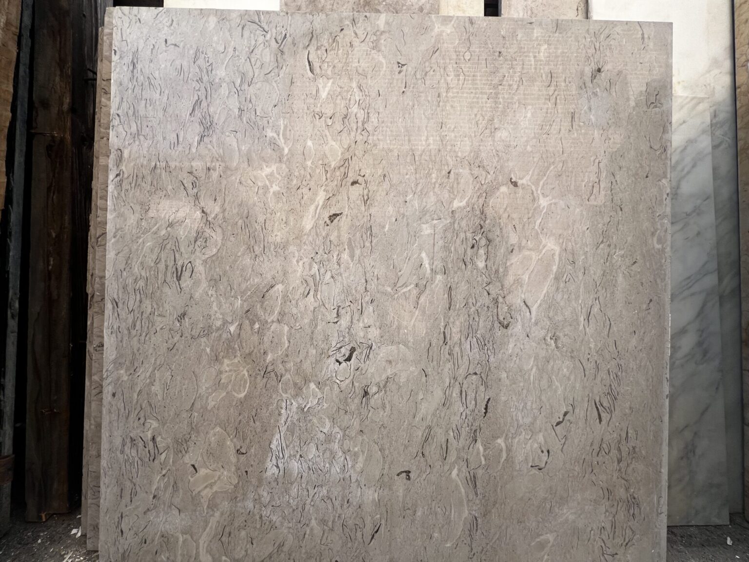 Fossilführender Kalkstein /Muschelkalk Platten in verschiedenen Größe
