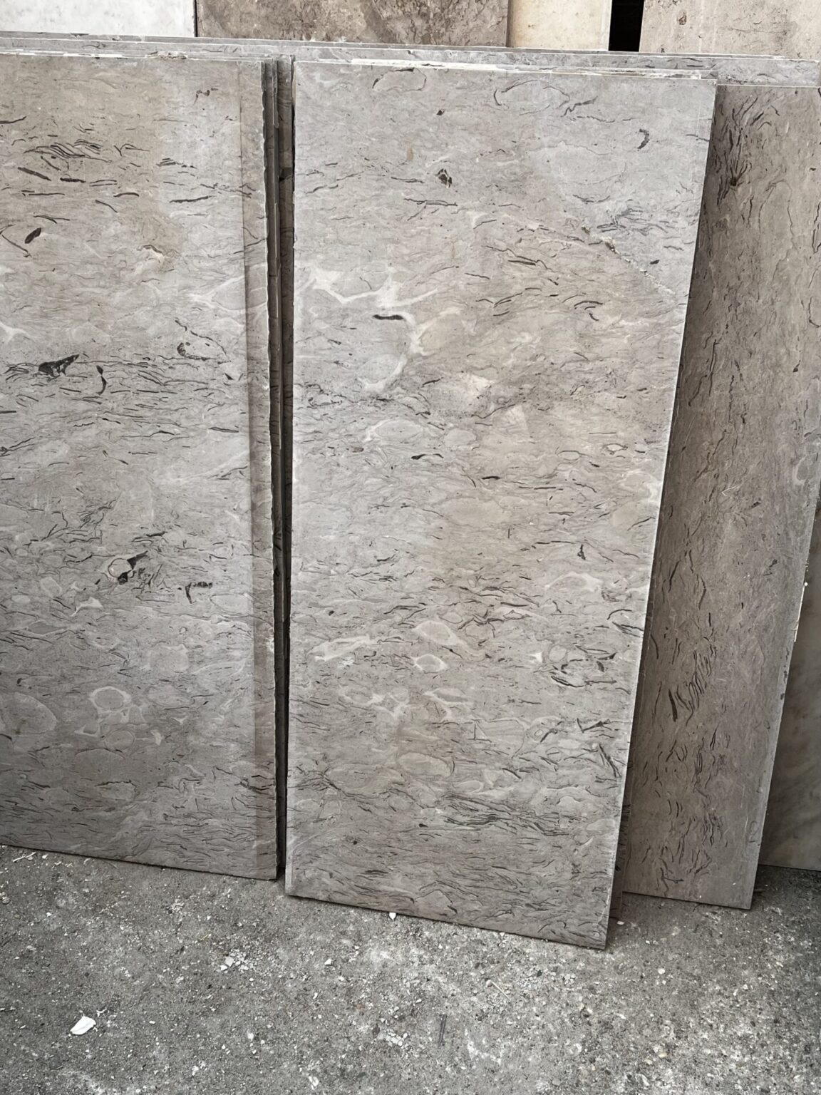 Fossilführender Kalkstein /Muschelkalk Platten in verschiedenen Größe
