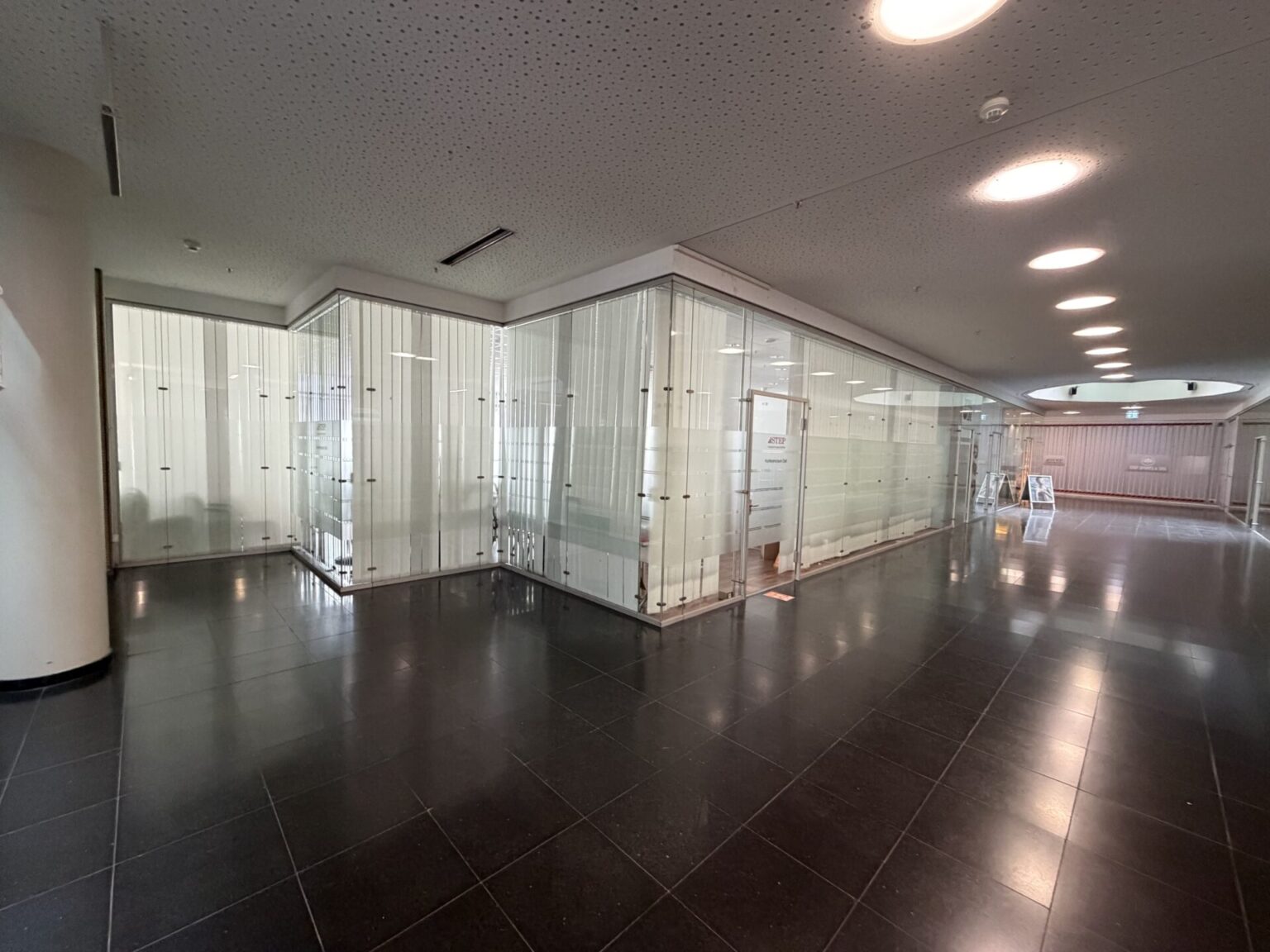 Wernberg GmbH, DELODUR ESG DIN 1249 (ESG-Glastrennwände)