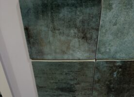 ZYX / Colorker Amazonia Emerald – 10,92 m² – Neu OVP