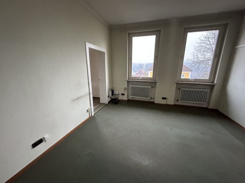 Heizkörper, Röhren- und Plattenheizkörper