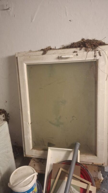 Fenster